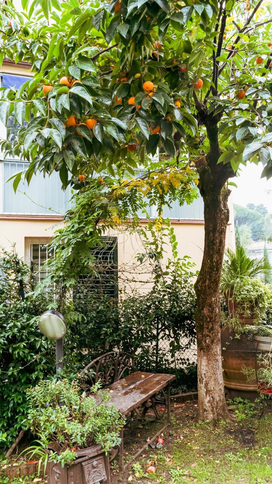 La Serra Sognante, Un Rifugio Incantevole Tra Natura E Relax Florence Exterior photo